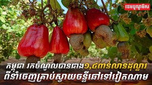 វិស័យស្វាយចន្ទី