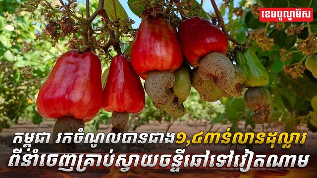 វិស័យស្វាយចន្ទី