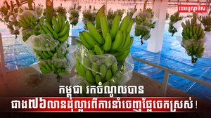 វិស័យកសិកម្ម