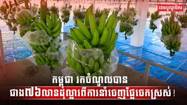 វិស័យកសិកម្ម