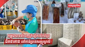 នាំចេញត្រីងៀត