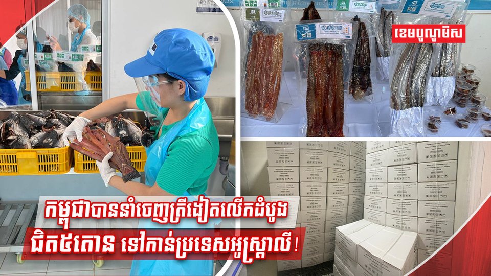 នាំចេញត្រីងៀត