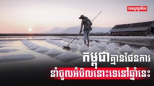 ផលិតផលអំបិល