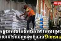 ស្រូវអង្ករកម្ពុជា