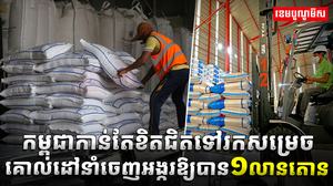 ស្រូវអង្ករកម្ពុជា