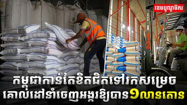 ស្រូវអង្ករកម្ពុជា