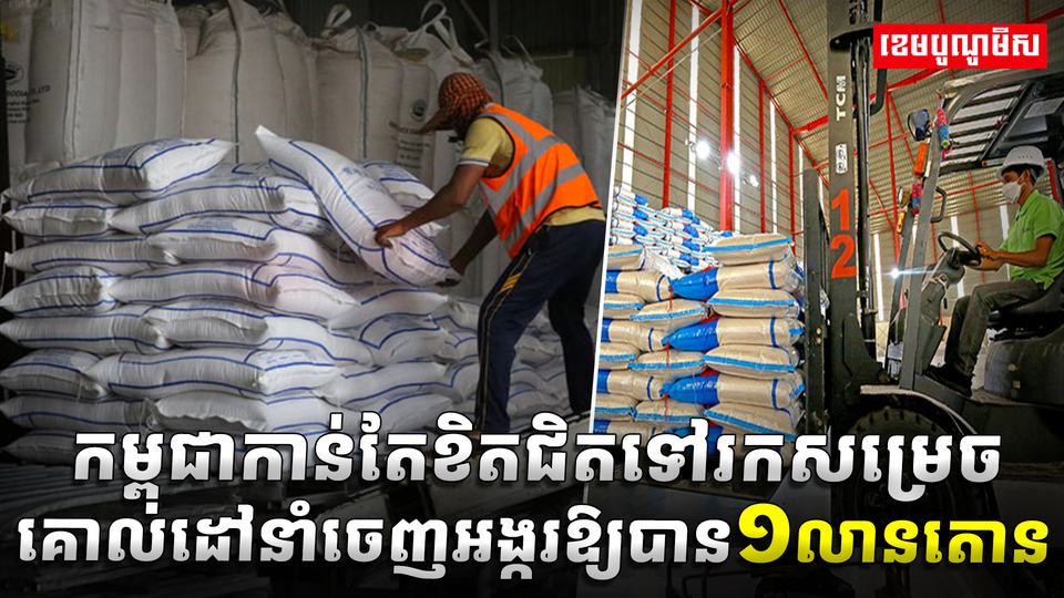 ស្រូវអង្ករកម្ពុជា