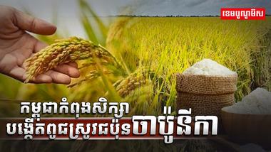 វិស័យស្រូវ អង្ករ