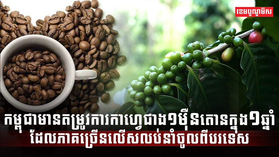 ទីផ្សារកាហ្វេ