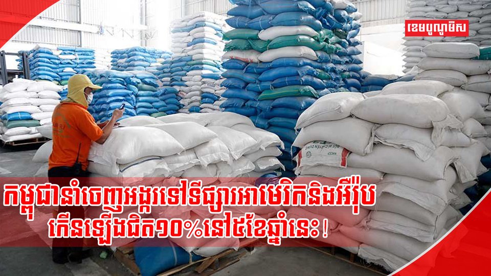 វិស័យស្រូវ អង្ករ