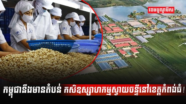 វិស័យស្វាយចន្ទី