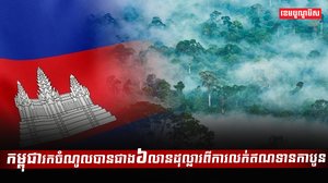 វិស័យព្រៃឈើ