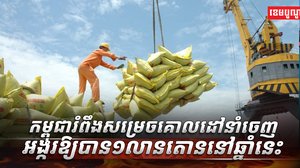 វិស័យ ស្រូវ អង្ករ