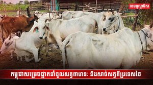 អ្នកចិញ្ចឹមសត្វ