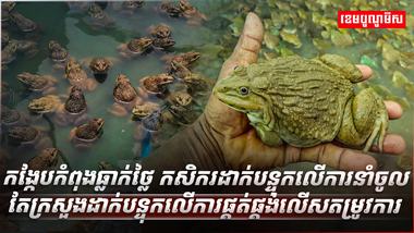 ទីផ្សារកង្កែប