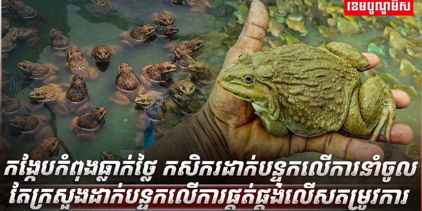 ទីផ្សារកង្កែប