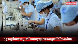 វិស័យកាត់ដេរ