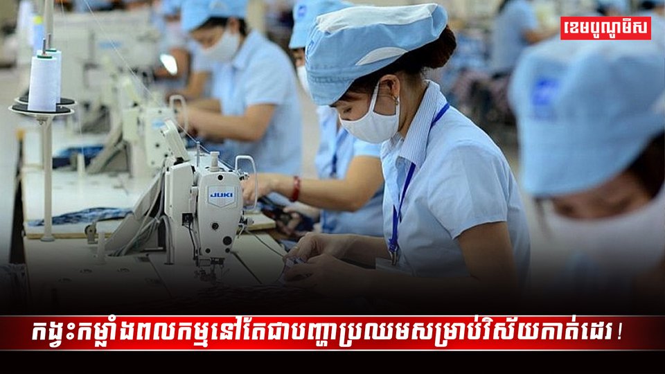 វិស័យកាត់ដេរ