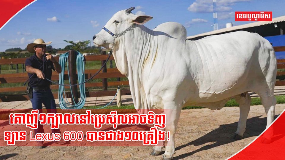 អ្នកចិញ្ចឹមសត្វ