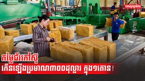 ទីផ្សារជ័រកៅស៊ូ
