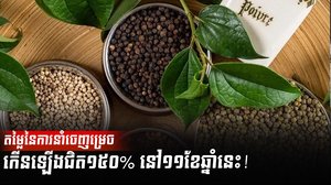 ដំណាំម្រេច