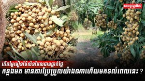 តើតម្លៃមៀន