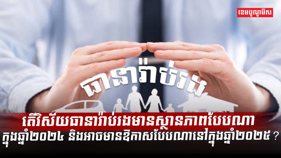 វិស័យធានារ៉ាប់រង