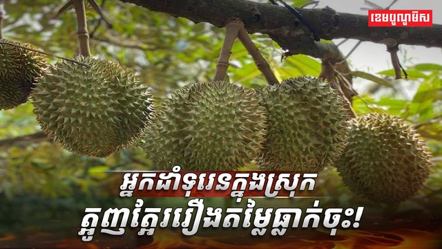 វិស័យ​កសិកម្ម