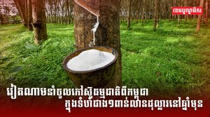 ទីផ្សារជ័រកៅស៊ូ