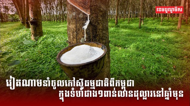 ទីផ្សារជ័រកៅស៊ូ
