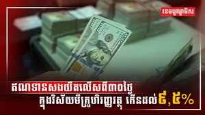 វិស័យមីក្រូហិរញ្ញវត្ថុ