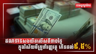 វិស័យមីក្រូហិរញ្ញវត្ថុ