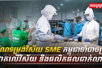 វិស័យ SME