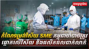 វិស័យ SME