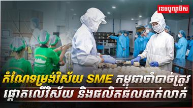 វិស័យ SME