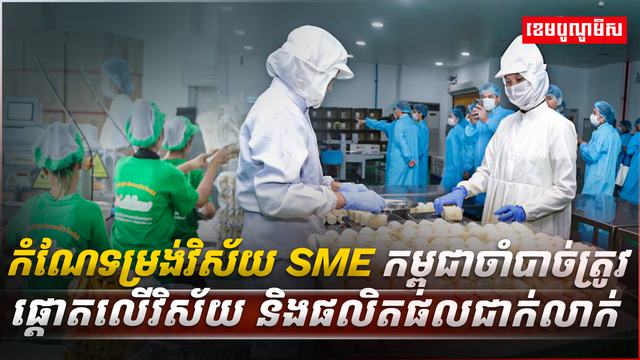 វិស័យ SME