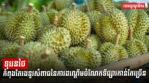 វិស័យកសិកម្ម