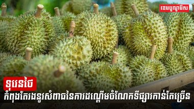 វិស័យកសិកម្ម