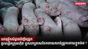 អ្នកចិញ្ចឹមសត្វ