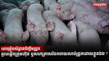 អ្នកចិញ្ចឹមសត្វ