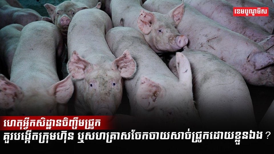 អ្នកចិញ្ចឹមសត្វ