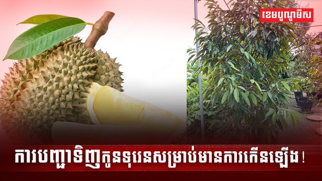 វិស័យកសិកម្ម
