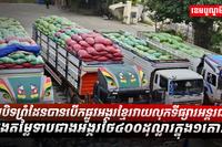 វិស័យស្រូវ អង្ករ