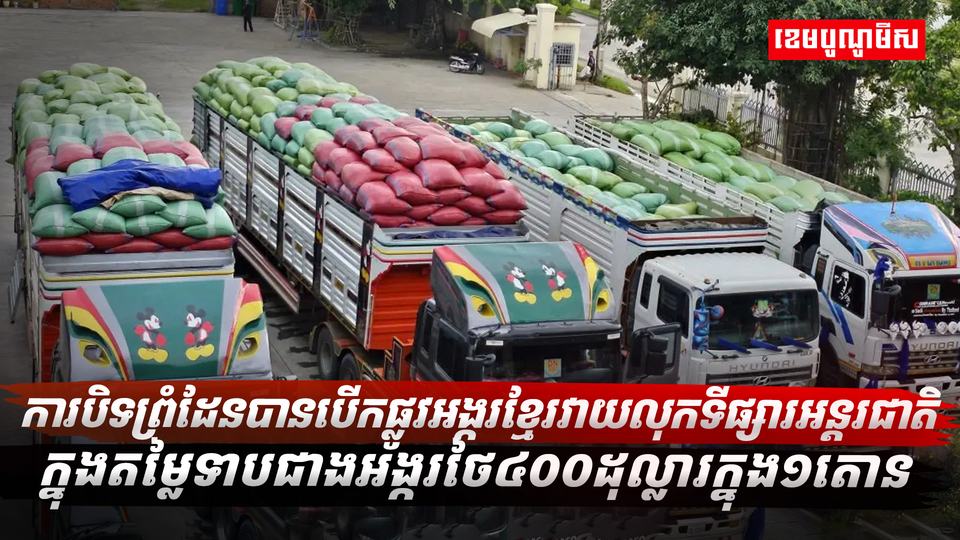 វិស័យស្រូវ អង្ករ