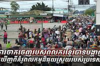វិស័យការងារ