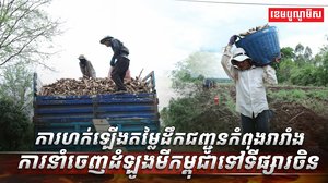 ដំឡូងមីកម្ពុជា