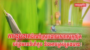 វិស័យកសិកម្ម