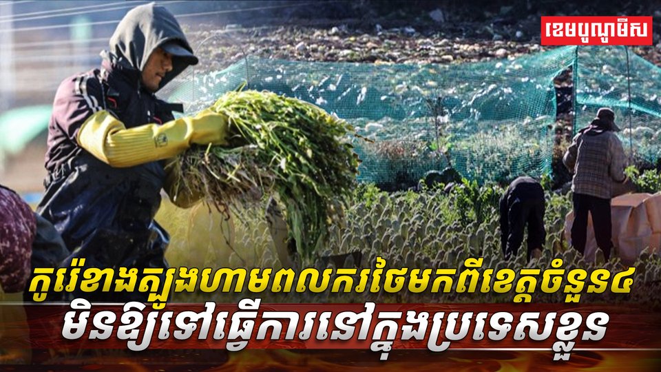 កូរ៉េខាងត្បូង