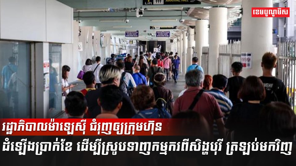 វិស័យការងារ