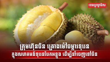 ទីផ្សារទុរេន